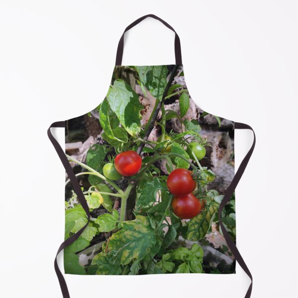 Item preview, Tomatoes ripe for harvest designed and sold by Gourmetkater.