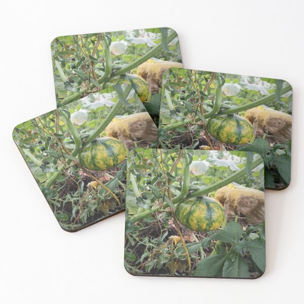 Item preview, Green pumpkin in the garden designed and sold by Gourmetkater.
