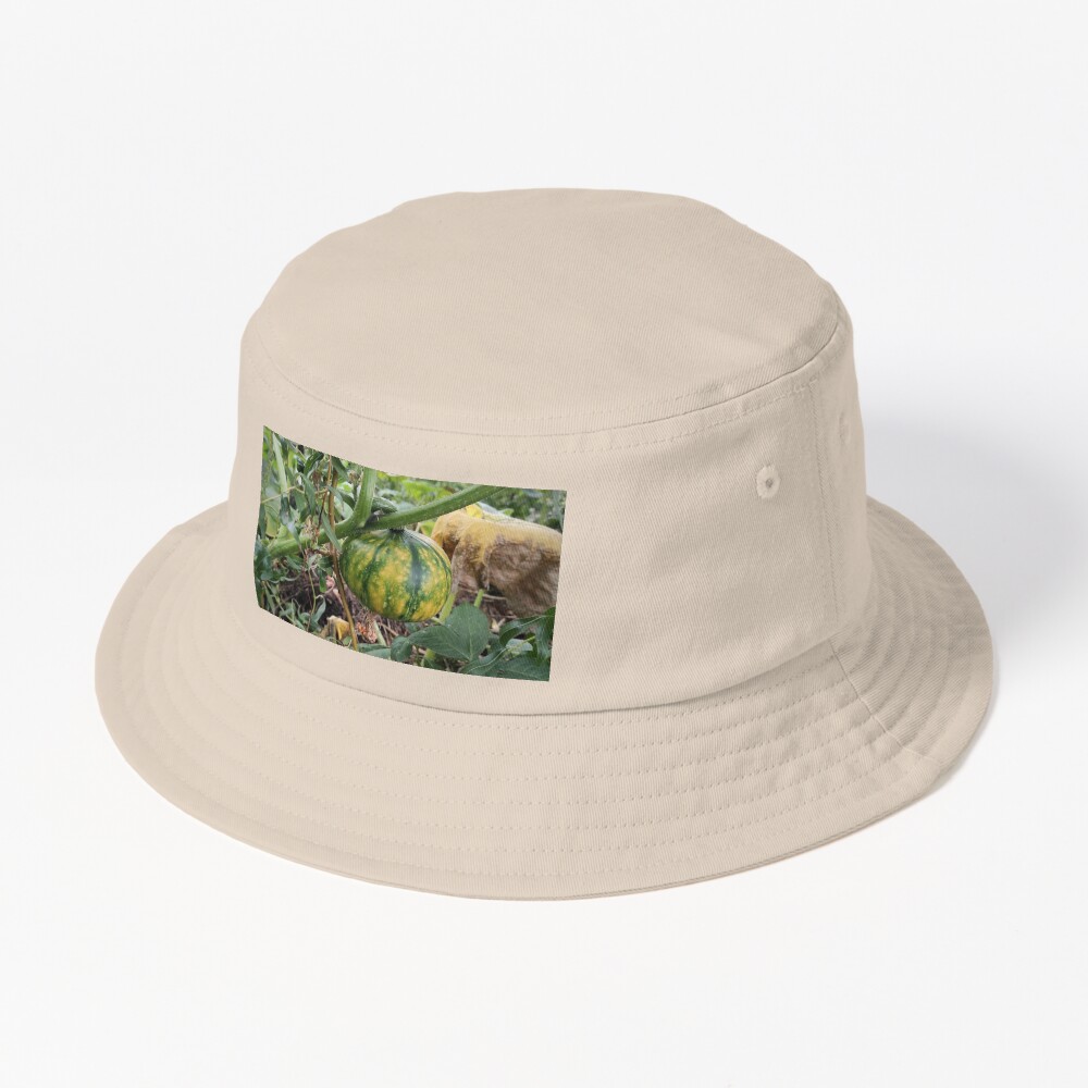 Artikel-Vorschau von Bucket Hat, designt und verkauft von Gourmetkater.