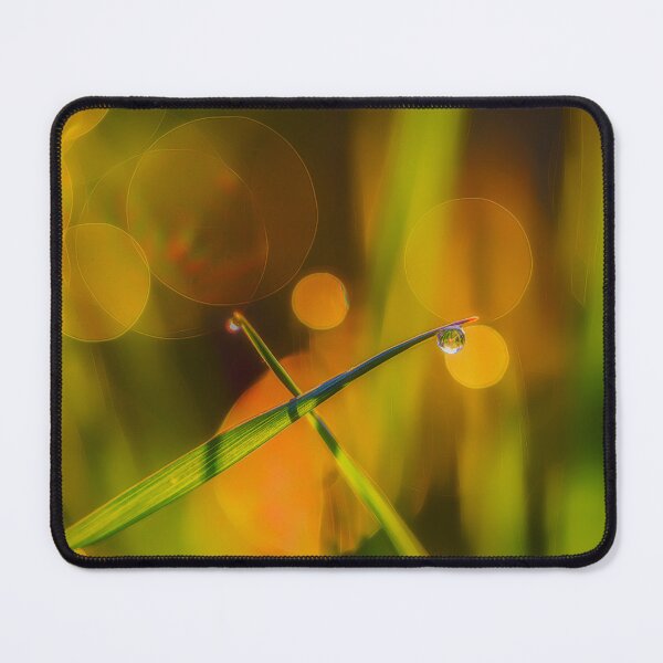 Item preview, Morning light designed and sold by Veikko  Suikkanen.