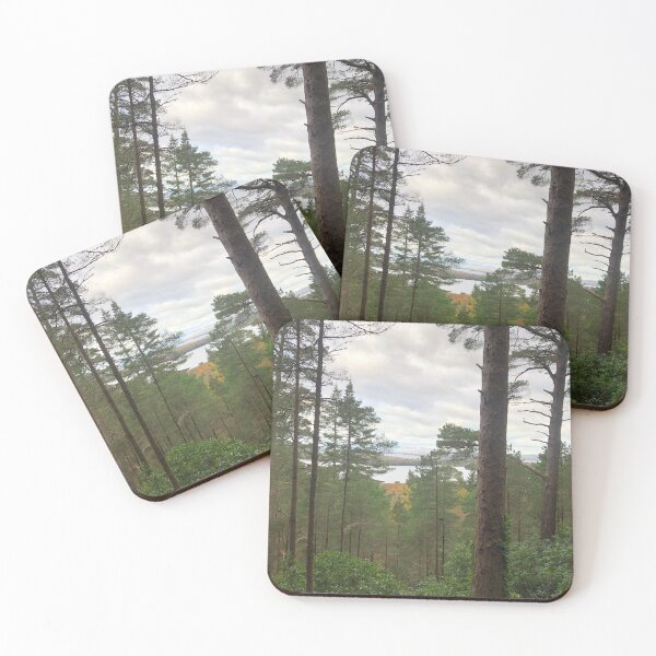 Item preview, The woods of Killarney National Park  designed and sold by drotondo13.