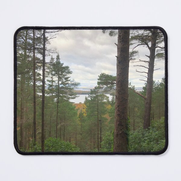Item preview, The woods of Killarney National Park  designed and sold by drotondo13.