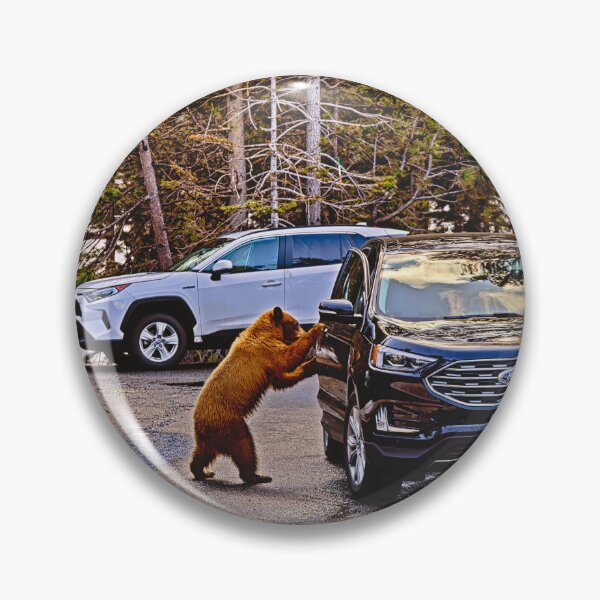 Item preview, Intrepid Bear designed and sold by Alex Preiss.