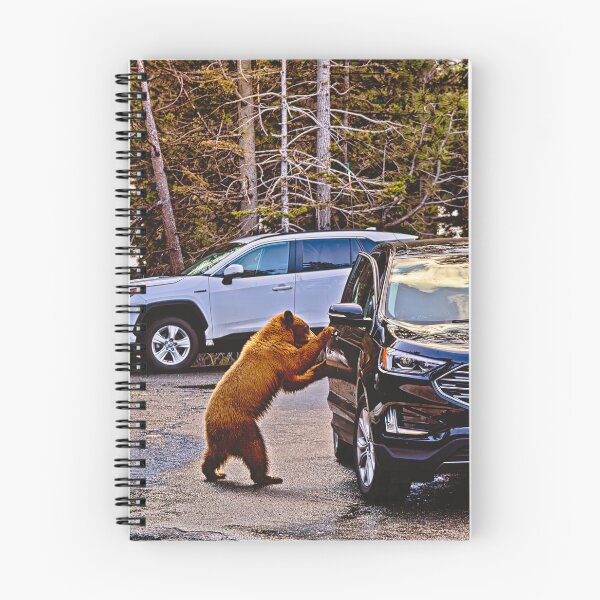 Item preview, Intrepid Bear designed and sold by Alex Preiss.