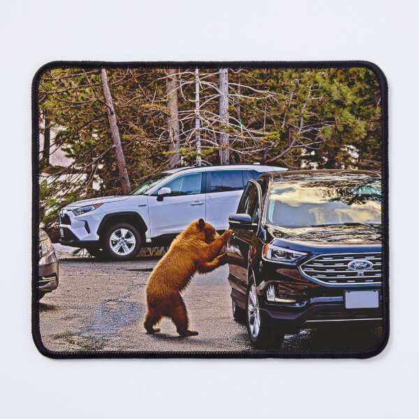 Item preview, Intrepid Bear designed and sold by Alex Preiss.
