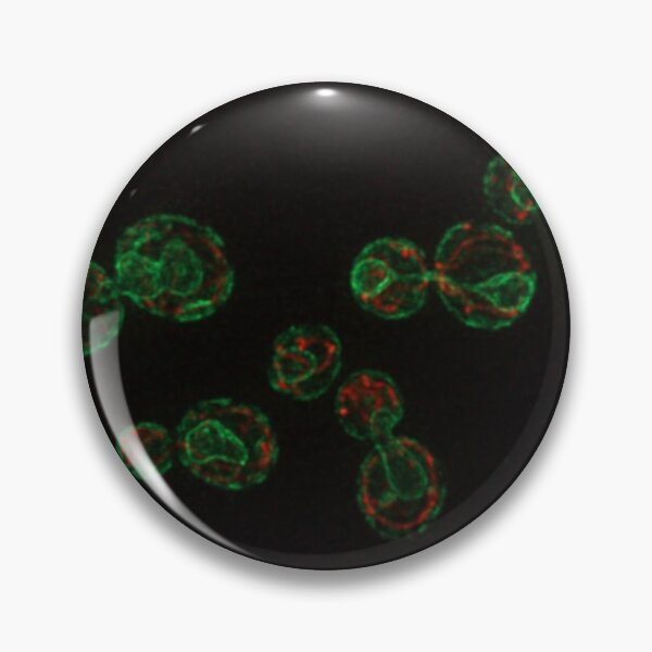 Item preview, Under the microscope designed and sold by estivison.