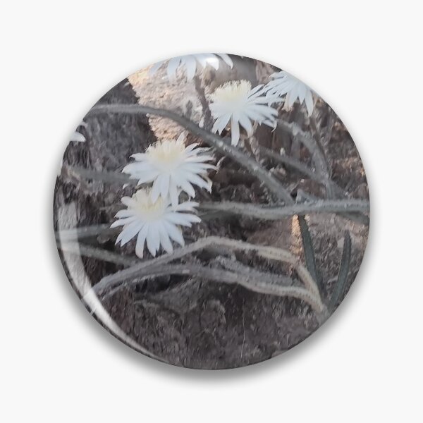 Item preview, Night blooming Cereus cactus designed and sold by Scruffy-Sid.