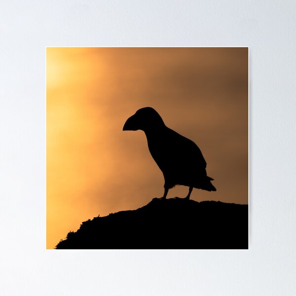 Item preview, Puffin at sunset designed and sold by Kay Roxby.