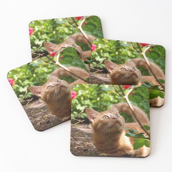 Item preview, A garden tabby cat designed and sold by Anirutgu.