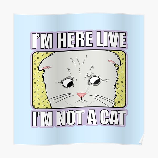 Póster «No soy un gato Abogado Meme - Pastel Kawaii Y2K Internet Meme» de  ponychops | Redbubble
