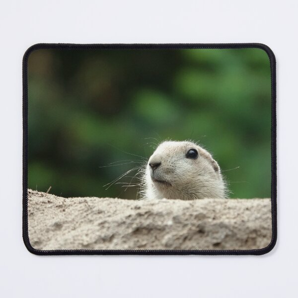 Item preview, A peeking prairie dog designed and sold by Anirutgu.