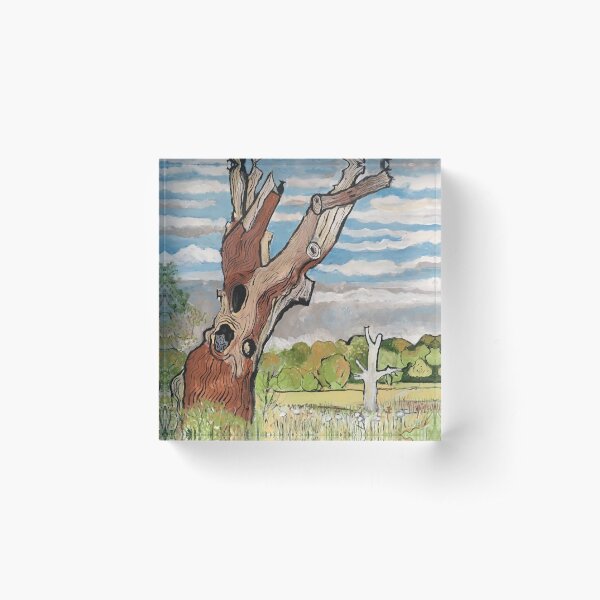 The Deadwood Tree Acrylic Block