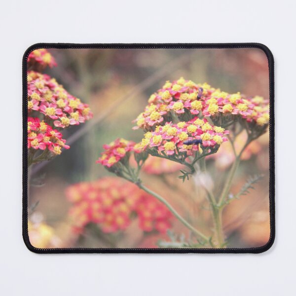Item preview, Spring designed and sold by Paula Bielnicka.