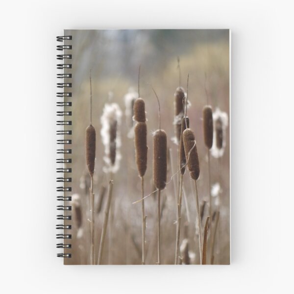 Item preview, Cattails designed and sold by Rae Tucker Photography & Designs.