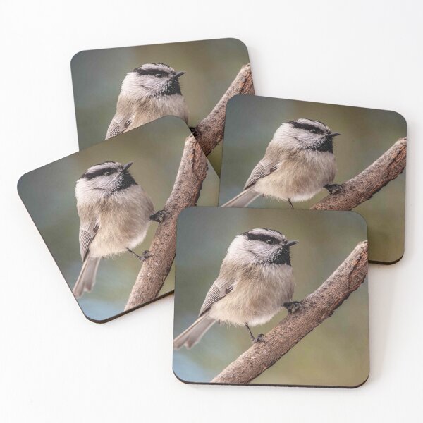 Item preview, Mountain Chickadee Perched on a Branch designed and sold by Jeff Goulden Photography.