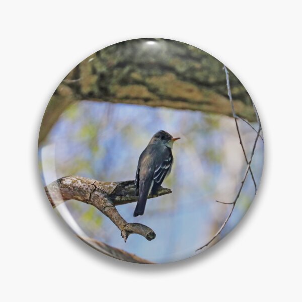 Item preview, Willow Flycatcher designed and sold by Deb Oppermann.