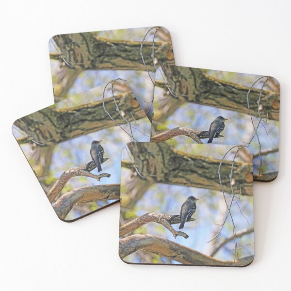 Item preview, Willow Flycatcher designed and sold by Deb Oppermann.