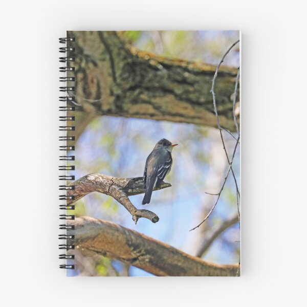 Item preview, Willow Flycatcher designed and sold by Deb Oppermann.