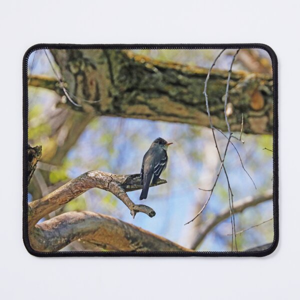 Item preview, Willow Flycatcher designed and sold by Deb Oppermann.