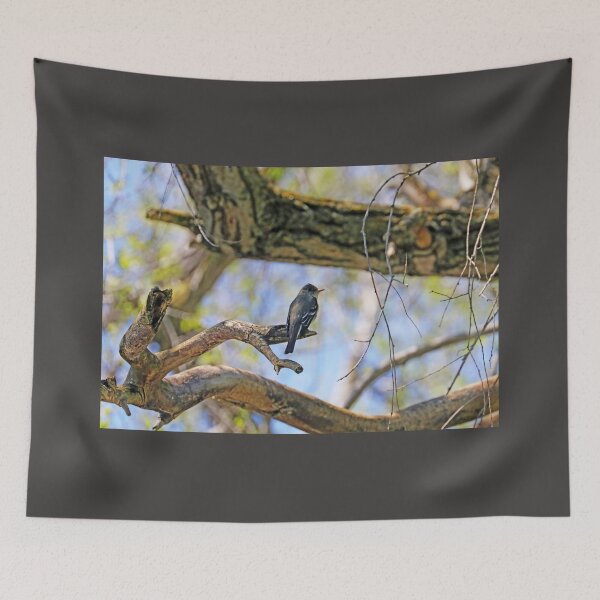 Item preview, Willow Flycatcher designed and sold by Deb Oppermann.