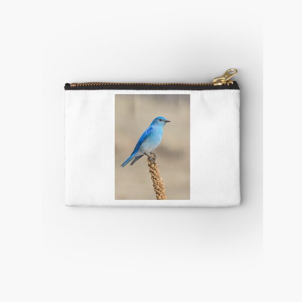 Aperçu de l'œuvre Perched Mountain Bluebird créée et vendue par Eivor Kuchta.