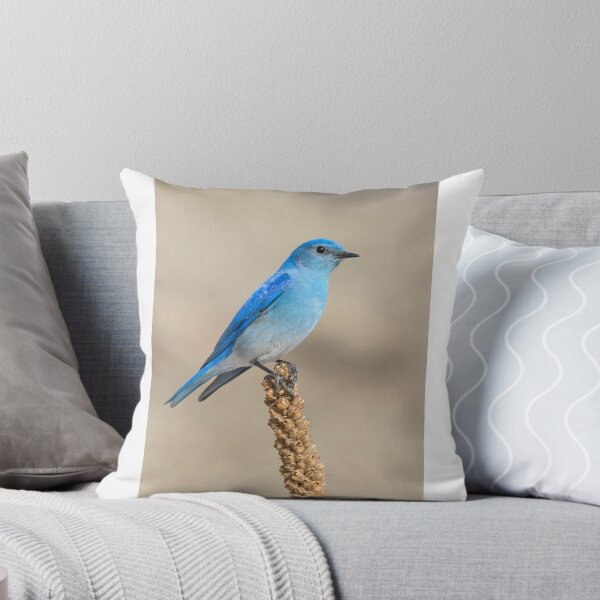 Item preview, Perched Mountain Bluebird designed and sold by Eivor Kuchta.
