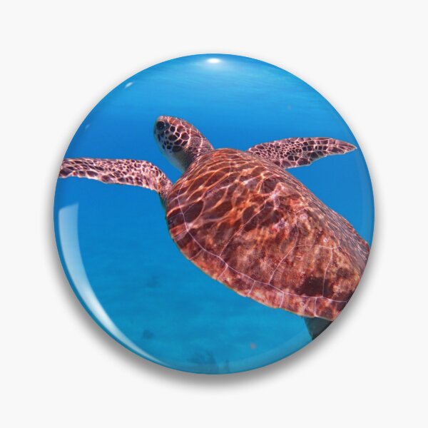 Item preview, Tortuga carey nadando en el mar designed and sold by Zack's Snacks.