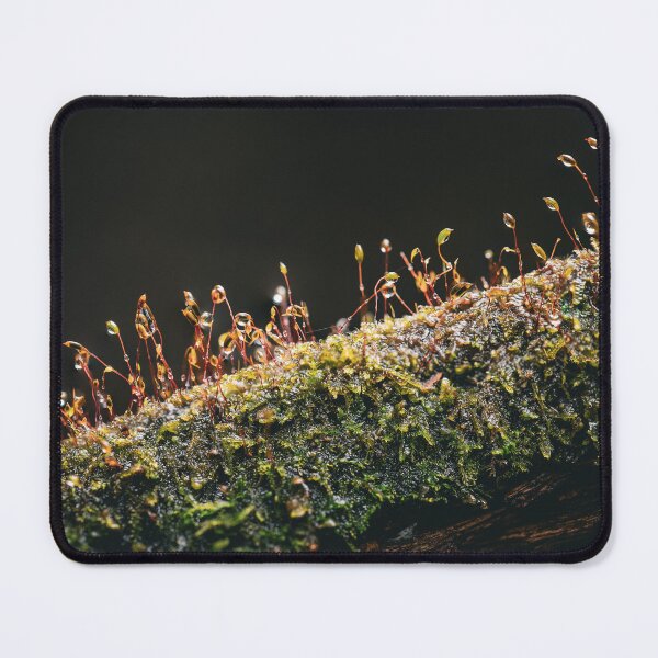Item preview, Macro Log Moss designed and sold by BasVanUyen.