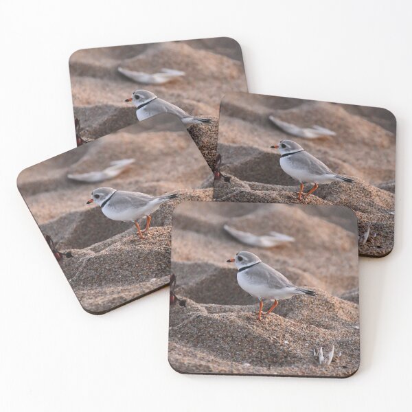 Item preview, Piping Plover, a rare & protected endangered bird  designed and sold by Poete100.