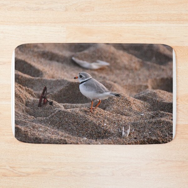 Item preview, Piping Plover, a rare & protected endangered bird  designed and sold by Poete100.