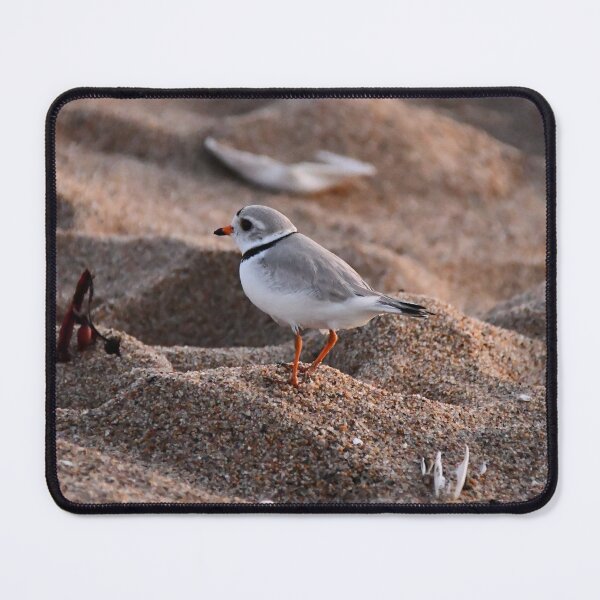 Item preview, Piping Plover, a rare & protected endangered bird  designed and sold by Poete100.