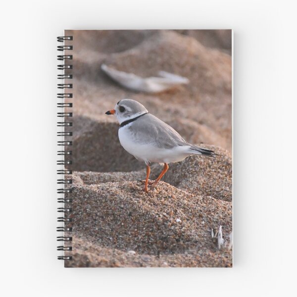 Item preview, Piping Plover, a rare & protected endangered bird  designed and sold by Poete100.