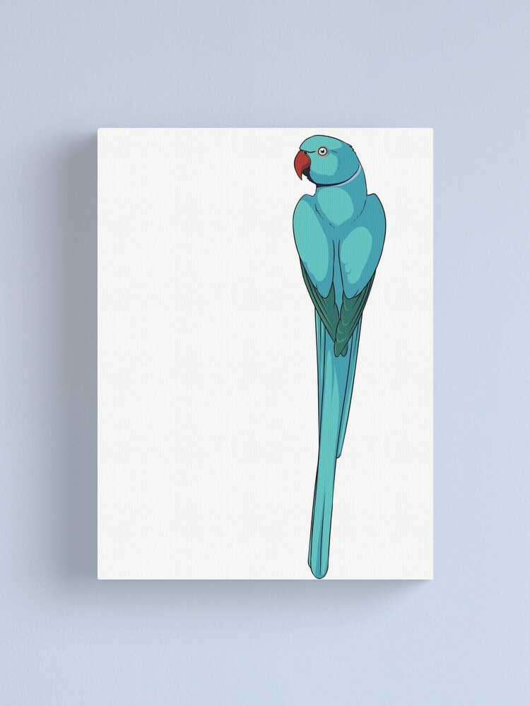 Thumbnail 2 of 3, Canvas Print, Blue Indian Ringneck Parakeet designed and sold by KeesKiwi.
