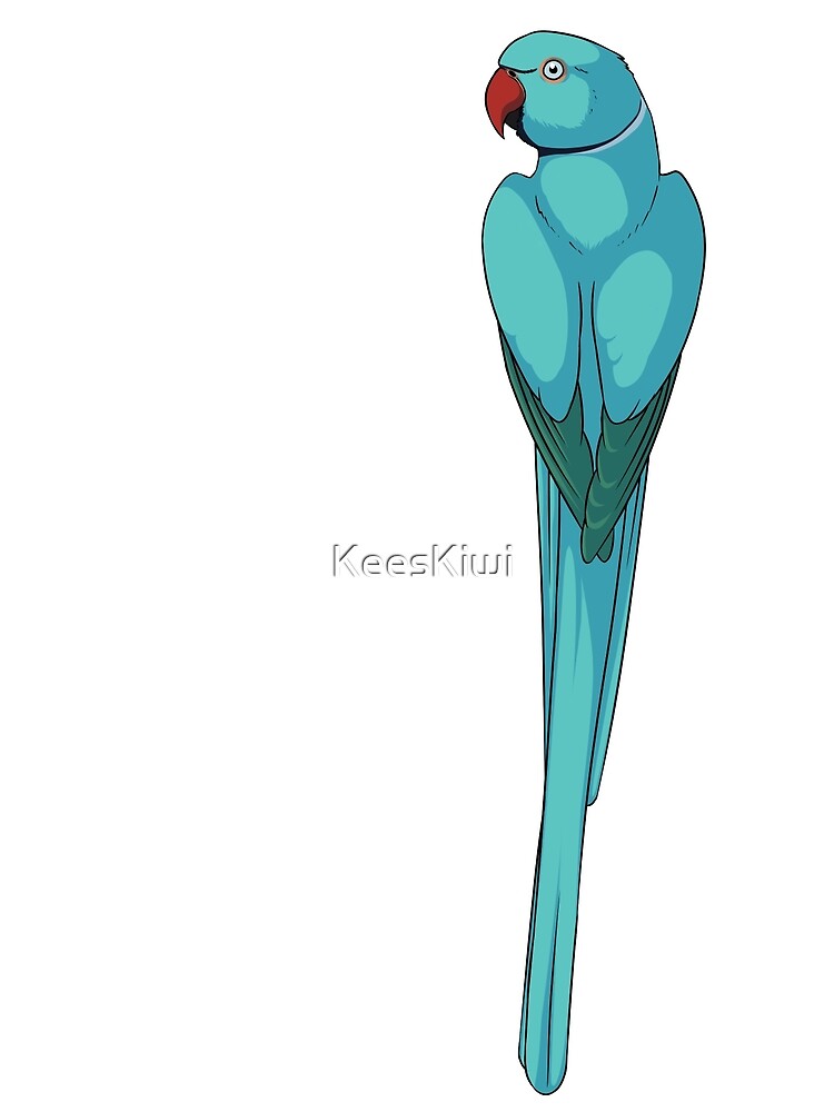 Thumbnail 3 of 3, Canvas Print, Blue Indian Ringneck Parakeet designed and sold by KeesKiwi.