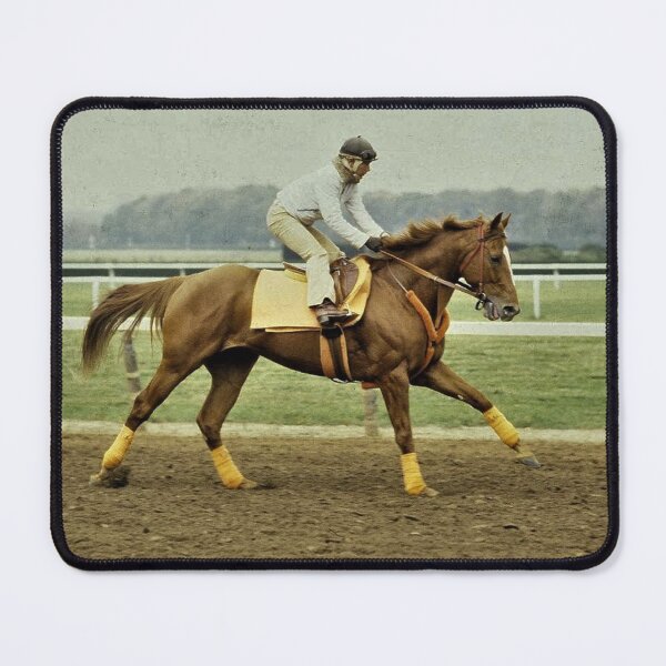 Item preview, AFFIRMED NEW YORK MORNING Steve Yellowbear Fine Art C2021 designed and sold by SteveYellowbear.