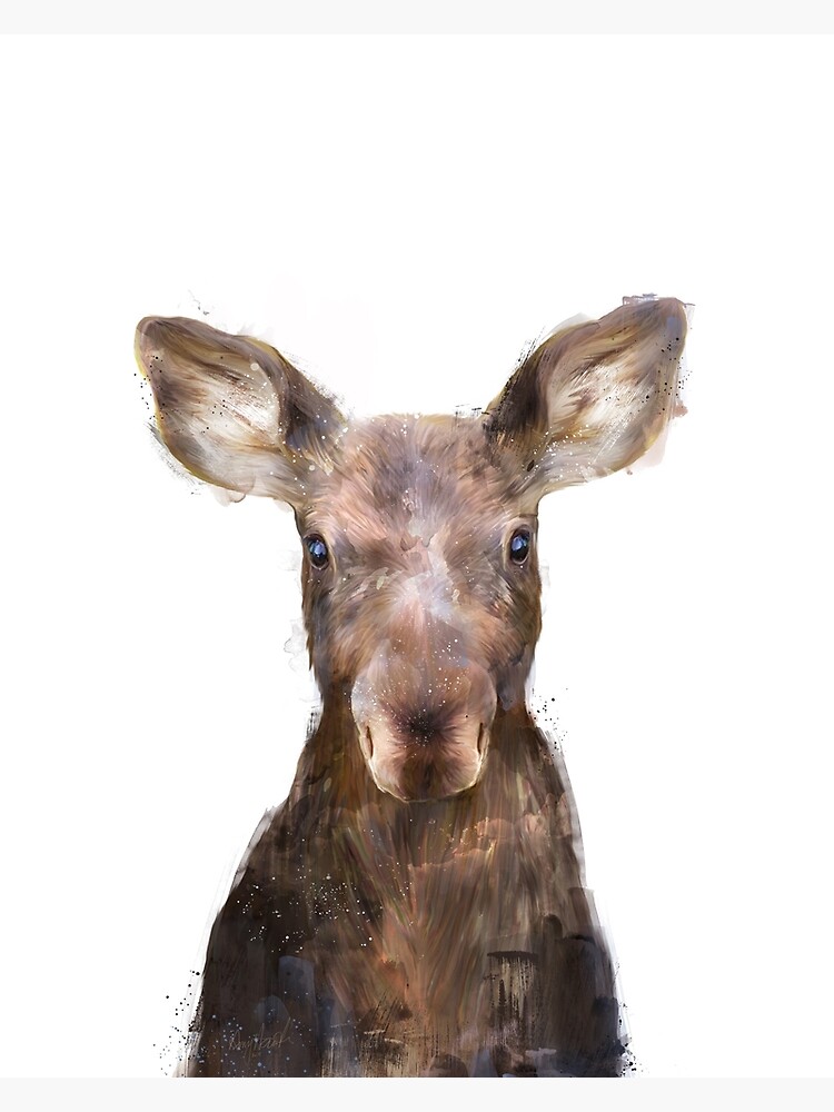 Little Moose by AmyHamilton