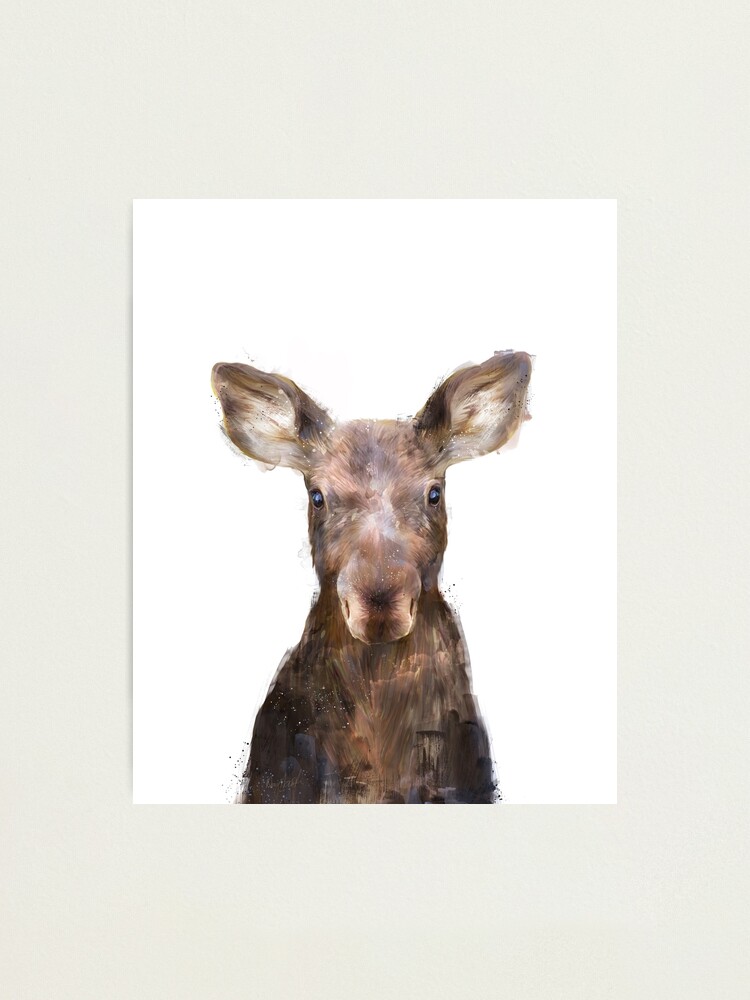 Alternate view of Little Moose Photographic Print