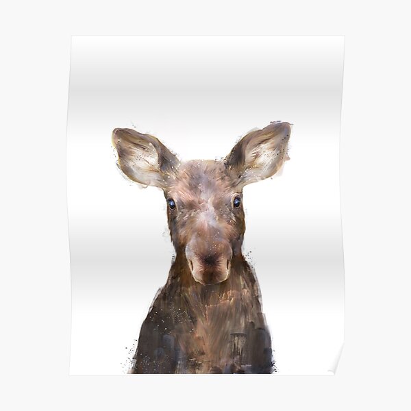 Little Moose Poster