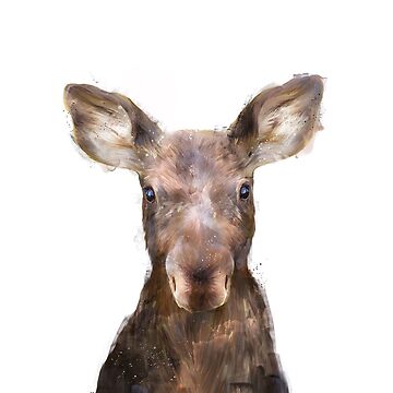 Artwork thumbnail, Little Moose by AmyHamilton