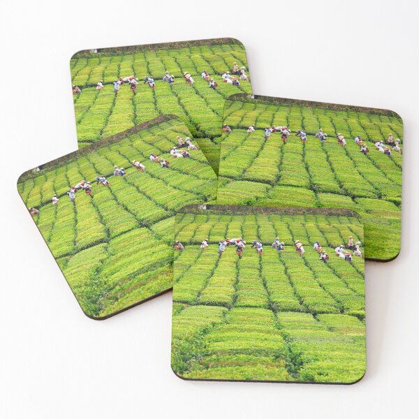 Item preview, Porto Formoso tea gardens designed and sold by Gaspar Avila.