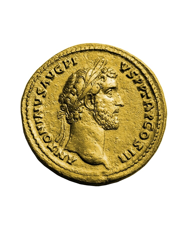 Antoninus Pius Gold Roman Coin | iPad Case & Skin