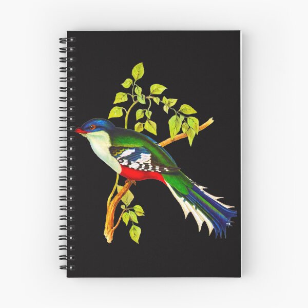 Item preview, Illustration of The Cuban trogon or tocororo  designed and sold by DereckLango.