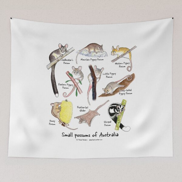 Item preview, Small possums of Australia designed and sold by Paula Peeters.