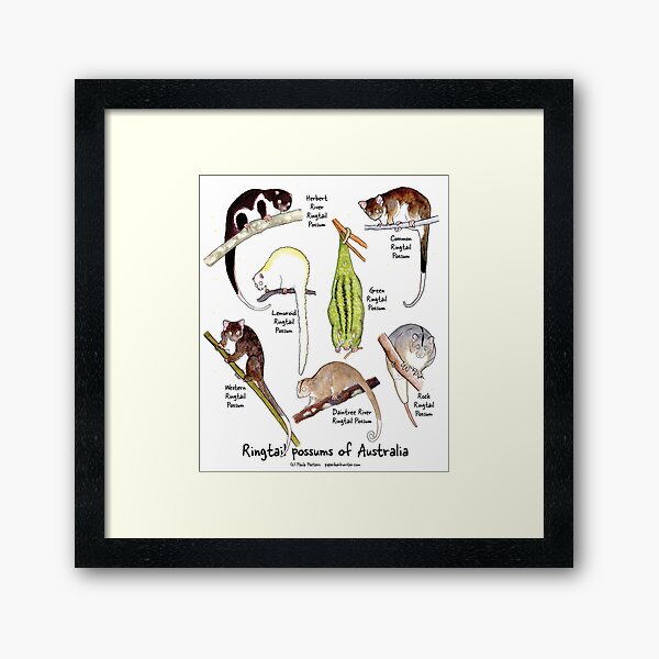 Framed Art Print