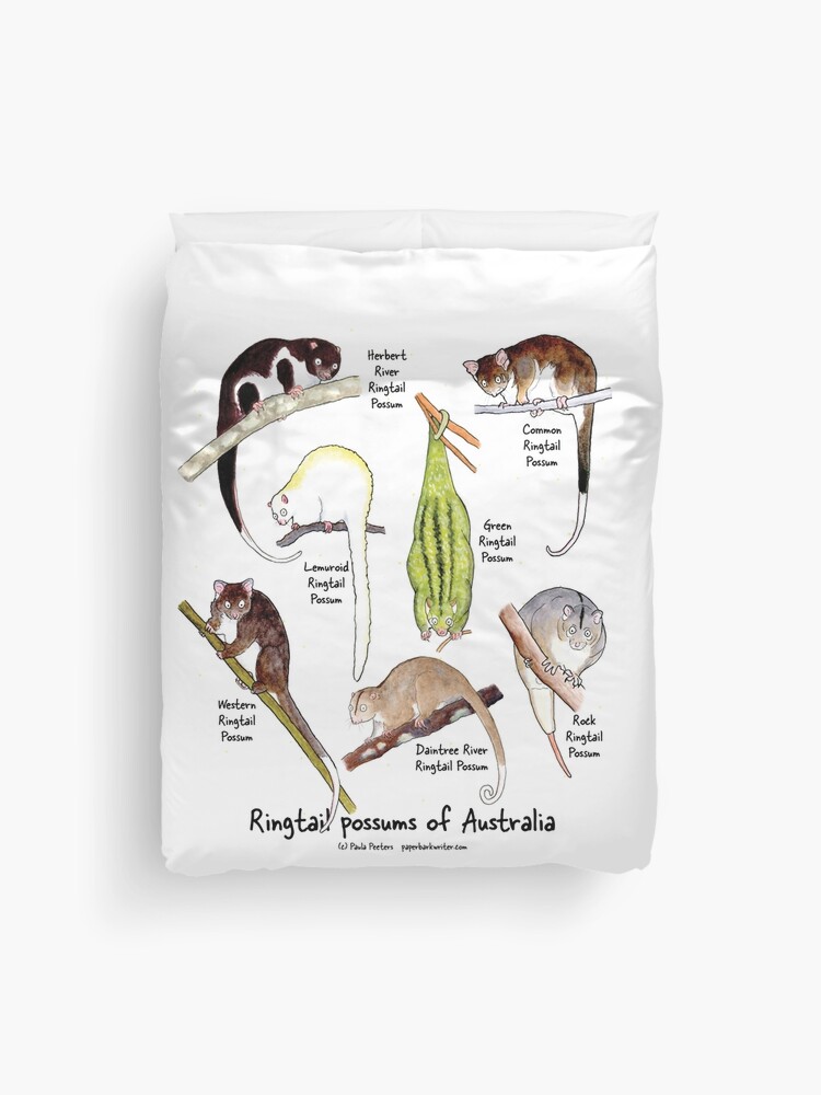 Thumbnail 1 of 2, Duvet Cover, Ringtail possums of Australia designed and sold by PaperbarkW.