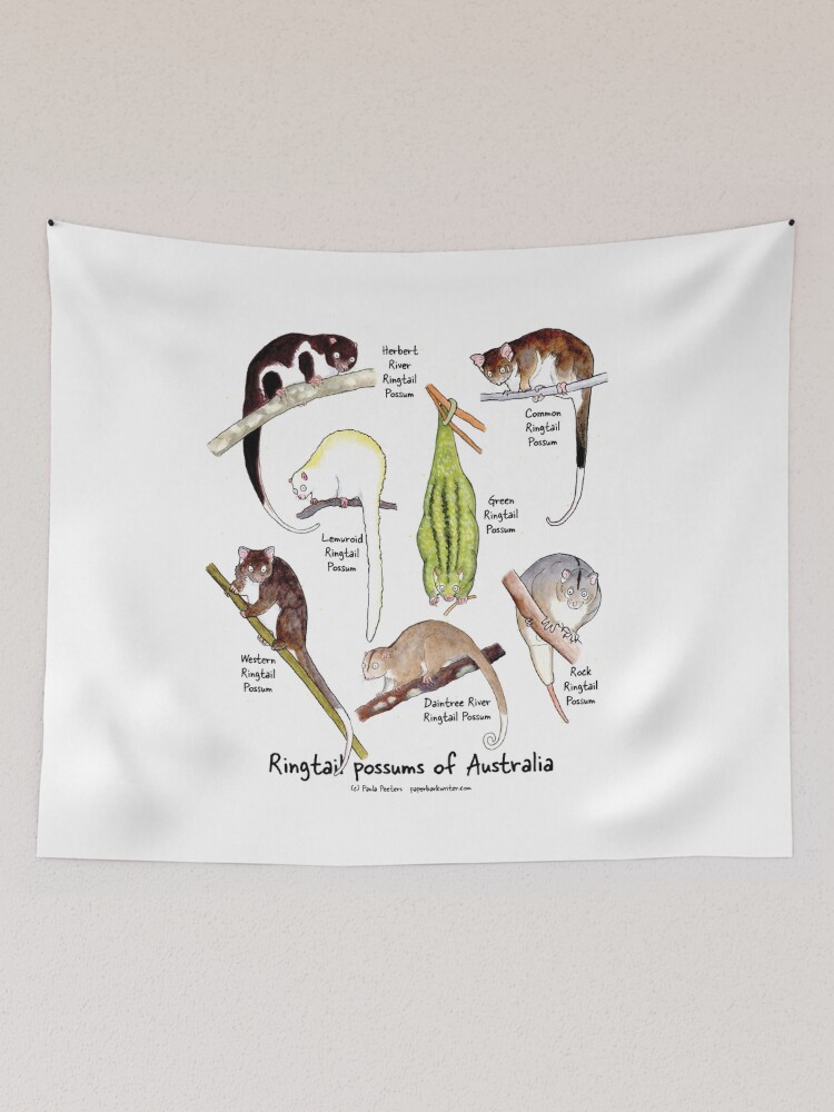 Thumbnail 2 of 3, Tapestry, Ringtail possums of Australia designed and sold by PaperbarkW.
