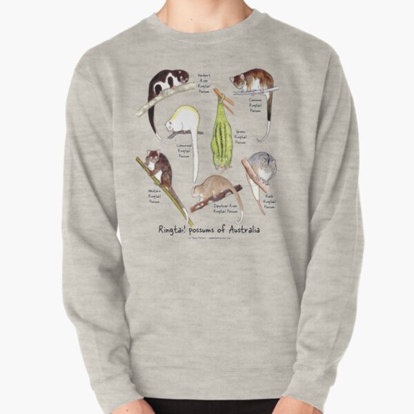 Pullover Sweatshirt