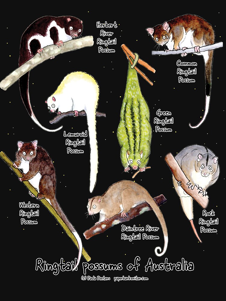 Thumbnail 7 of 7, Active T-Shirt, Ringtail possums of Australia designed and sold by PaperbarkW.