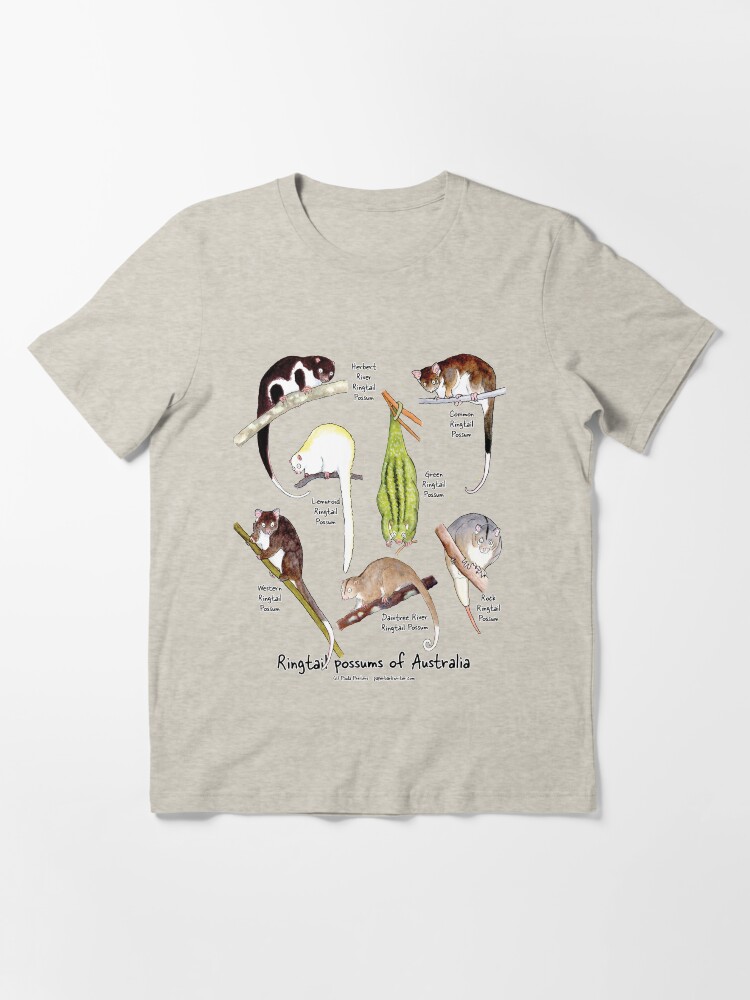 Thumbnail 3 of 7, Essential T-Shirt, Ringtail possums of Australia designed and sold by PaperbarkW.