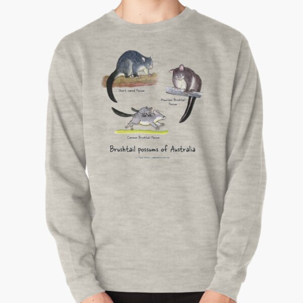 Brushtail possums of Australia Pullover Sweatshirt